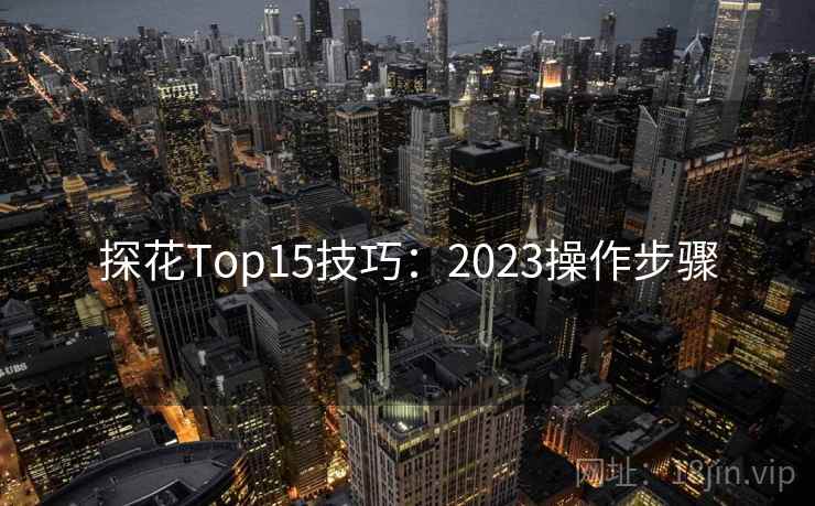 探花Top15技巧：2023操作步骤  第2张