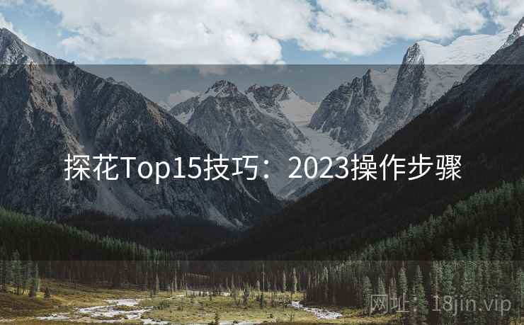 探花Top15技巧：2023操作步骤  第1张
