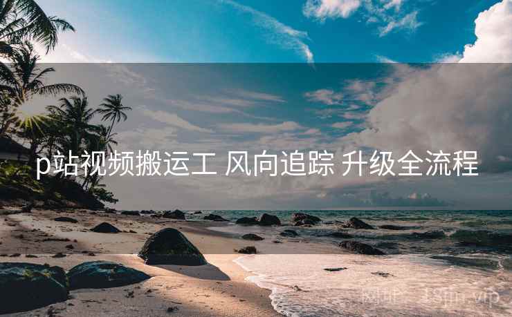 p站视频搬运工 风向追踪 升级全流程  第1张