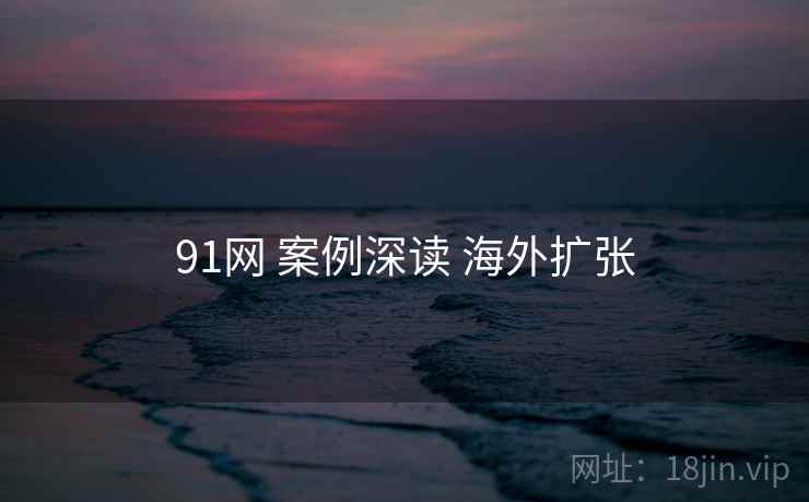 91网 案例深读 海外扩张 第2张 91网 案例深读 海外扩张 第2张