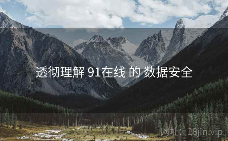 透彻理解 91在线 的 数据安全  第1张