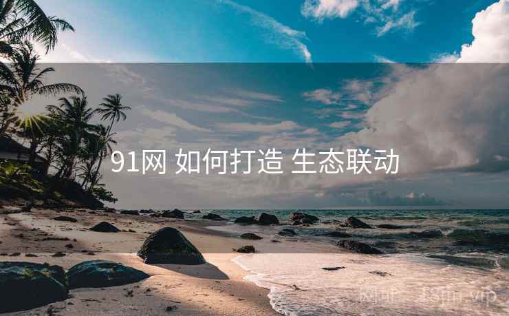 91网 如何打造 生态联动 第2张 91网 如何打造 生态联动 第2张