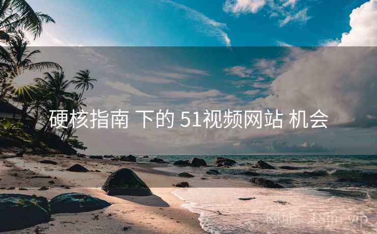 硬核指南 下的 51视频网站 机会  第1张