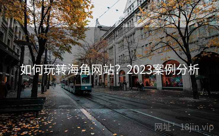 如何玩转海角网站?2023案例分析 第2张 如何玩转海角网站?2023案例分析 第2张