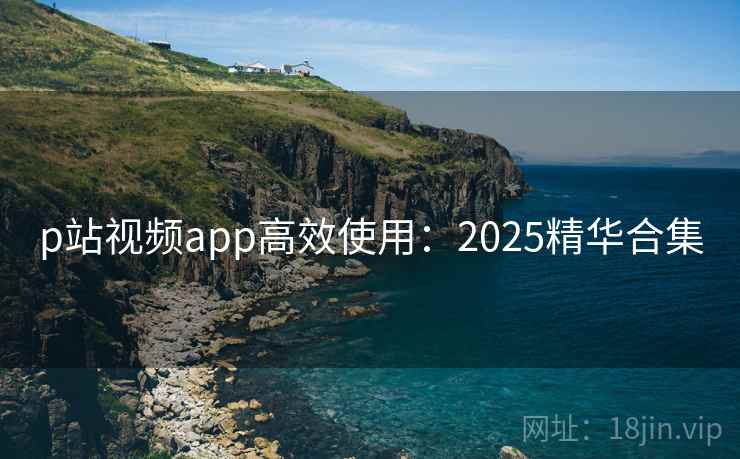 p站视频app高效使用：2025精华合集  第2张