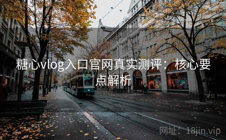 糖心vlog入口官网真实测评:核心要点解析 第1张 糖心vlog入口官网真实测评:核心要点解析 第1张