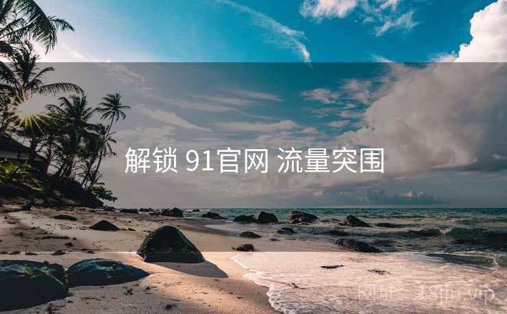 解锁 91官网 流量突围 第1张 解锁 91官网 流量突围 第1张